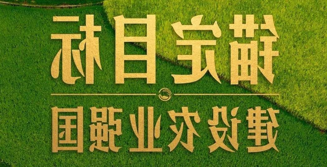 点燃现代农业创新引擎，释放农业领域新质生产力